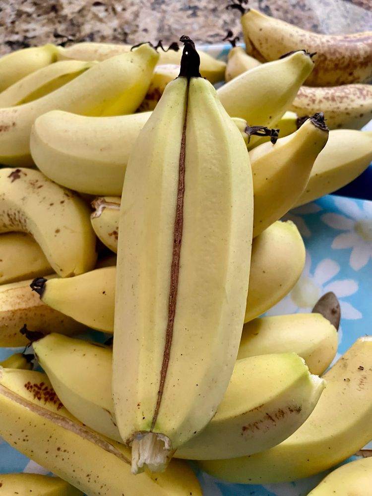 The bananas, which are well you know what a conjoined twin is, this is that, but bananas.
