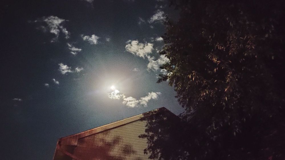 "night vision" exposure photograph of the moon in a nearly cloudless sky - with very stark contrast and low saturation. Taken with a 5 year old smartphone lens.