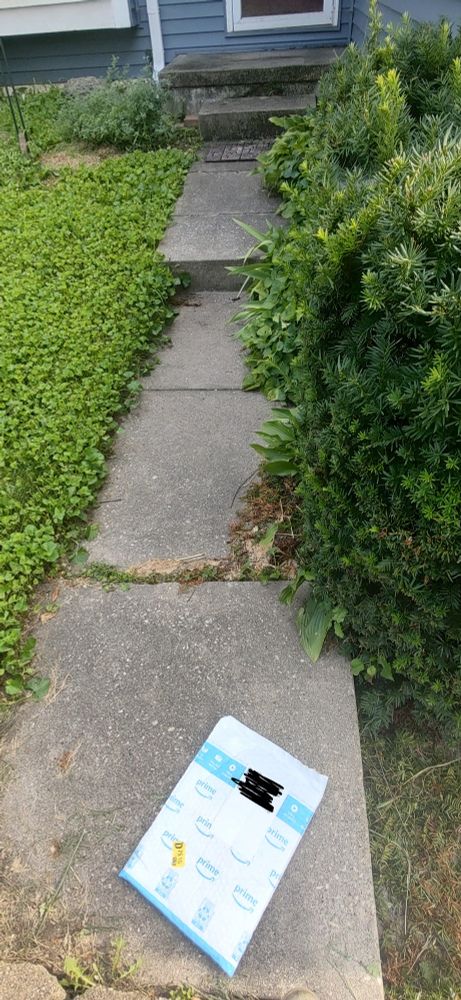 Photograph of a package left at the end of my walkup path closest to the driveway, which is about 25 feet or so away from my door and more or less on "the ground".