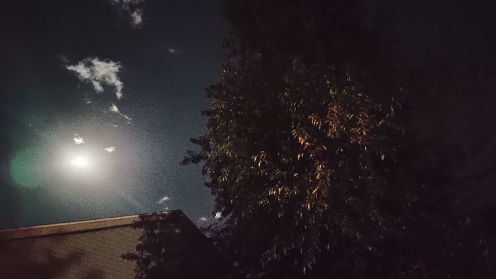 "night vision" exposure photograph of the moon in a nearly cloudless sky - with very stark contrast and low saturation. Taken with a 5 year old smartphone lens.