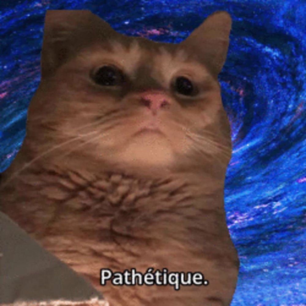 a cat with the word pathetique written below it