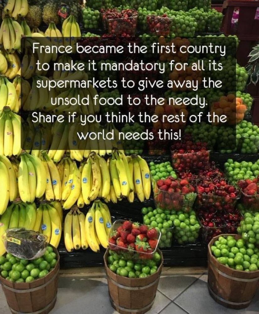 france became the first country to make it mandatory for all its supermarkets to give away the unsold food to the needy. share if you think the rest of the world needs this.
