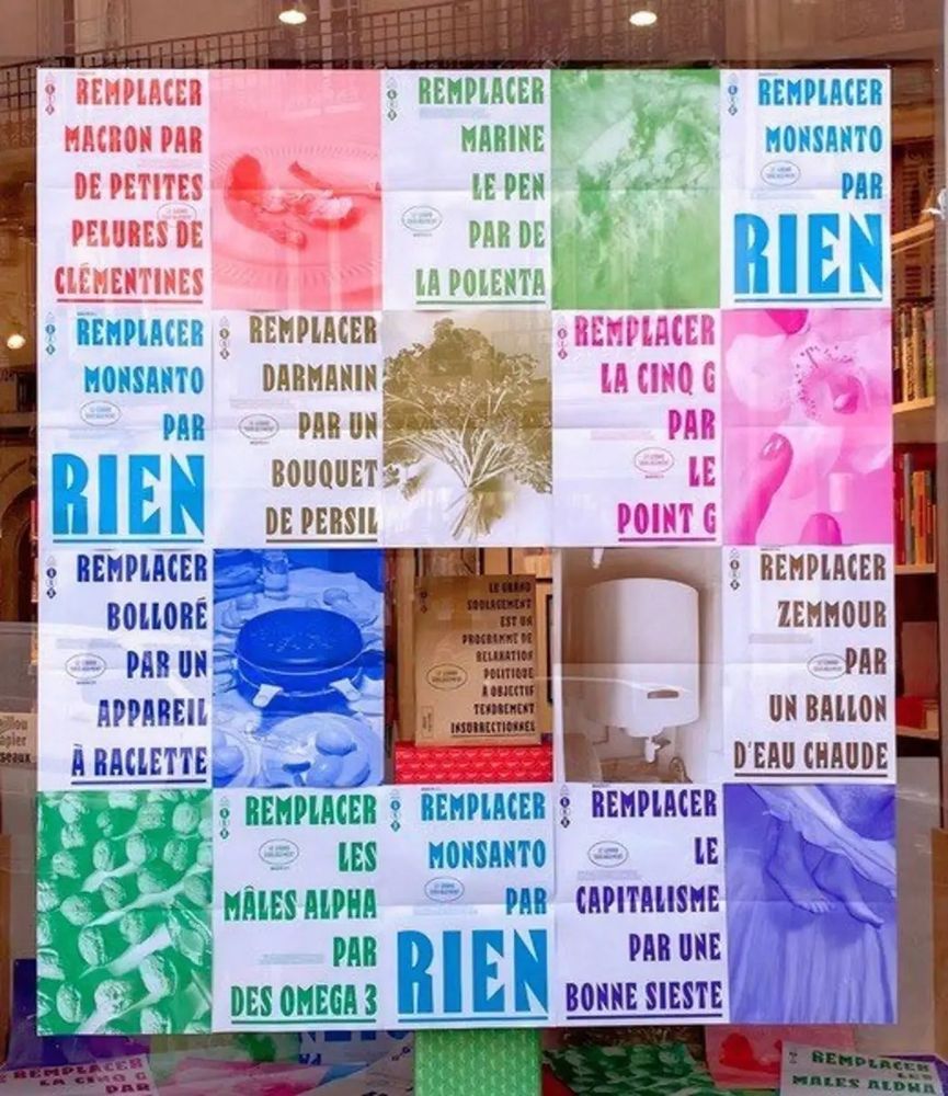Affiches du "Grand Soulagement" proposant, entre autres : remplacer Darmanin par un bouquet de persil, remplacer Macron par de petites pelures de clémentines, remplacer les mâles alpha par des oméga 3...