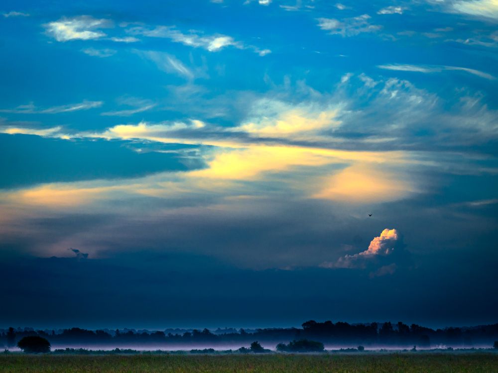 Image with early morning mist-enshrouded fields in the very bottom of the frame. The vast majority of the frame is taken up by a brooding cloudy blue sky. One thundercloud in the distance is illuminated by the rising sun.