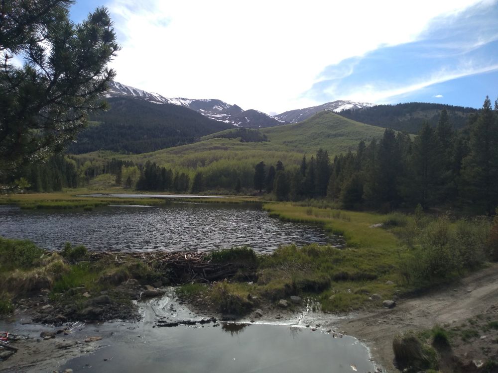 View of beaver ponds below Mt Elbert 
