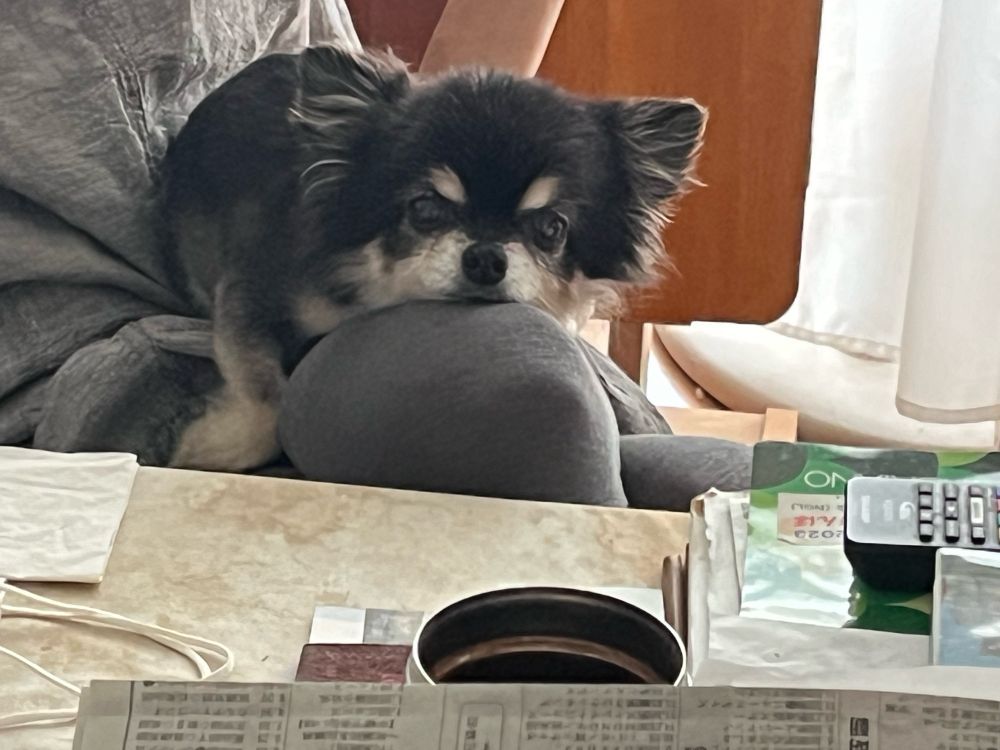 何見てんじゃい！