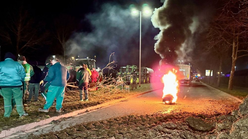 Bauernproteste in Magdeburg: Landwirte kippen Mist und Gülle auf Fahrbahn | MDR.DE