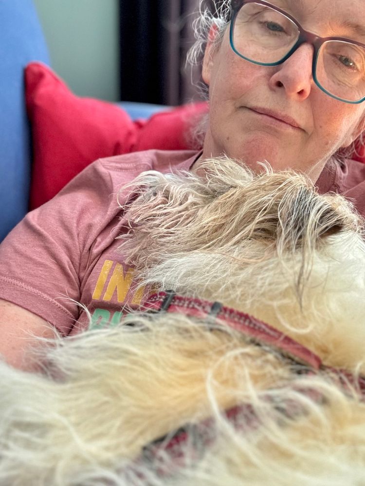 A small dog with long white hair and brown ears lays sleeping on her human’s chest after dental surgery. 