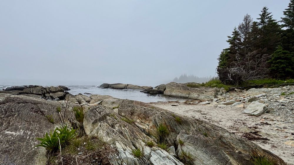 A rocky shoreline with a scrap of sandy beach and fog-obscured trees in the distance. 