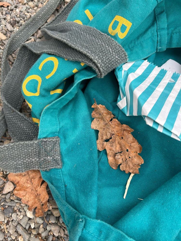 A single brown oak leaf, fallen with heavy significance into a turquoise-blue Booths bag on the lake shingle 