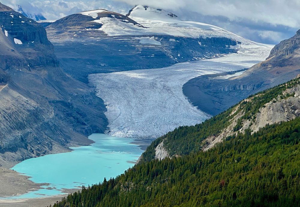 The glacier flows from the icefields above to where it almost cascades in a series of crevasses to the milky turquoise lake of its meltwater at its foot. 