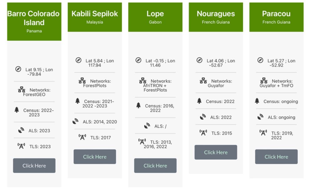 ✅🌍Bridging the Gap in Carbon Verification: GEO-TREES🌲