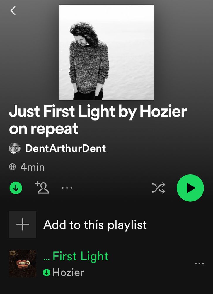 The playlist is called “Just First Light by Hozier on repeat” and it has just one song which is First Light, by Hozier.