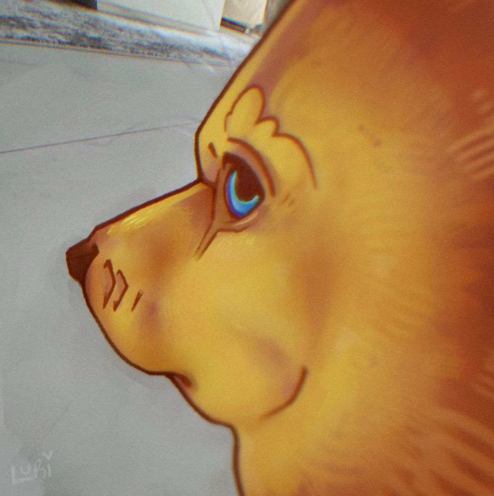 Illustration of a golden cat dog taken at .5 lens.