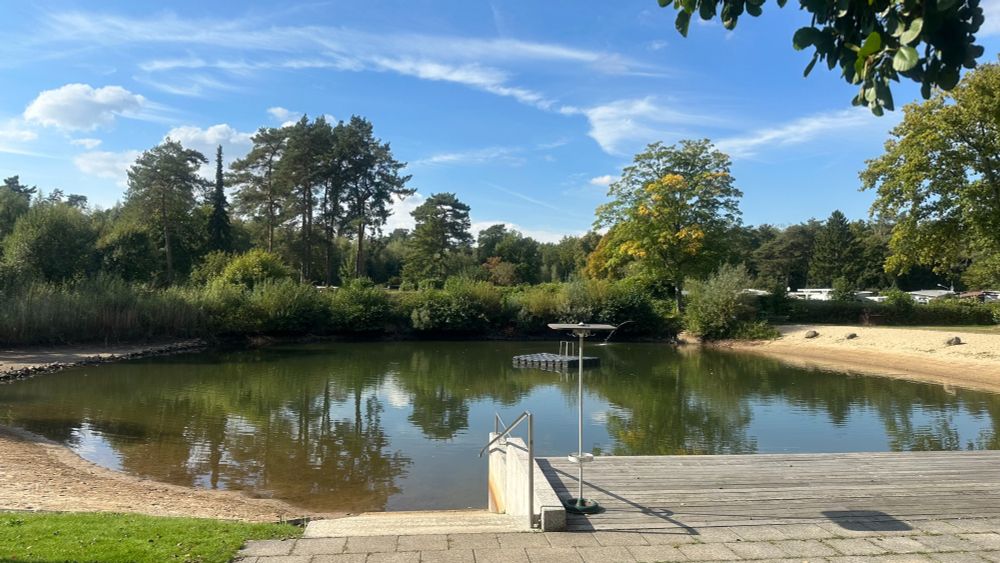 The image shows a small lake surrounded by greenery and tall trees under a blue sky with some scattered clouds. In the foreground, there is a paved area with a metal handrail leading into the water and a wooden deck next to it. On the right side, a sandy beach area is visible, while the left and background are framed with dense bushes and reeds. Across the lake, parked vehicles can be seen behind some trees. In the middle of the lake, a floating platform is present, and part of a leafy branch hangs down from the upper right corner. The scene appears calm and quiet.