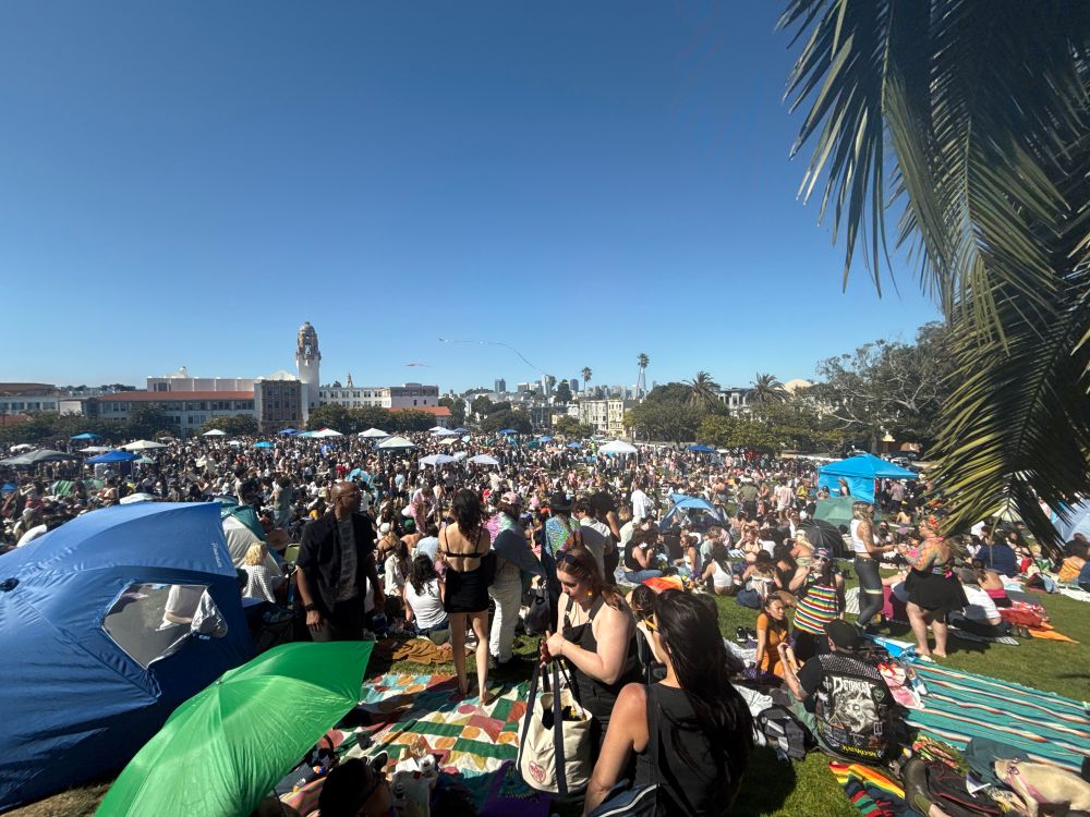 a densely packed delores park