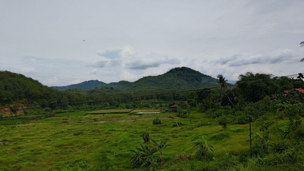 A lush green mountain with bright tropical green fields in front
