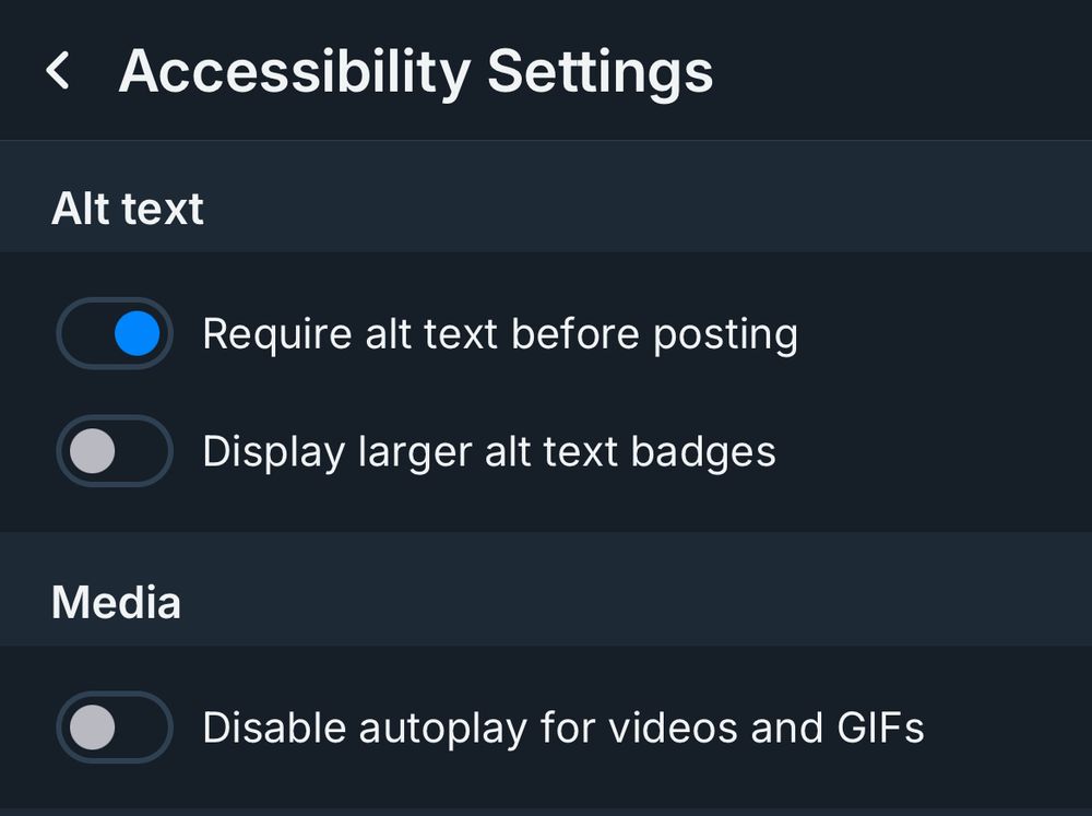 The photo is a screenshot of the Bluesky Accessibility settings. It shows the “Require alt text” option toggled on. 