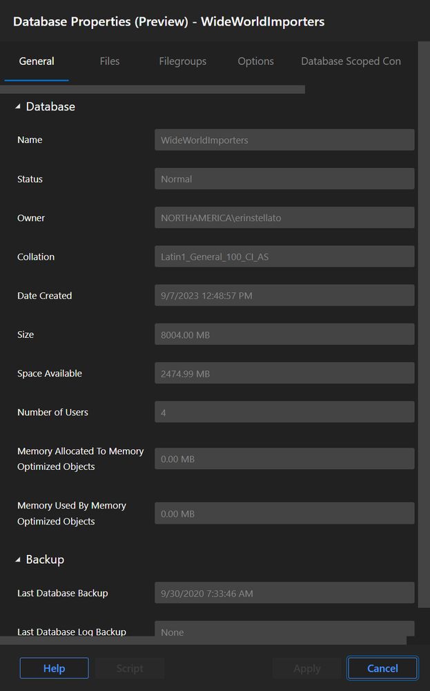 Screenshot of database properties pane in Azure Data Studio