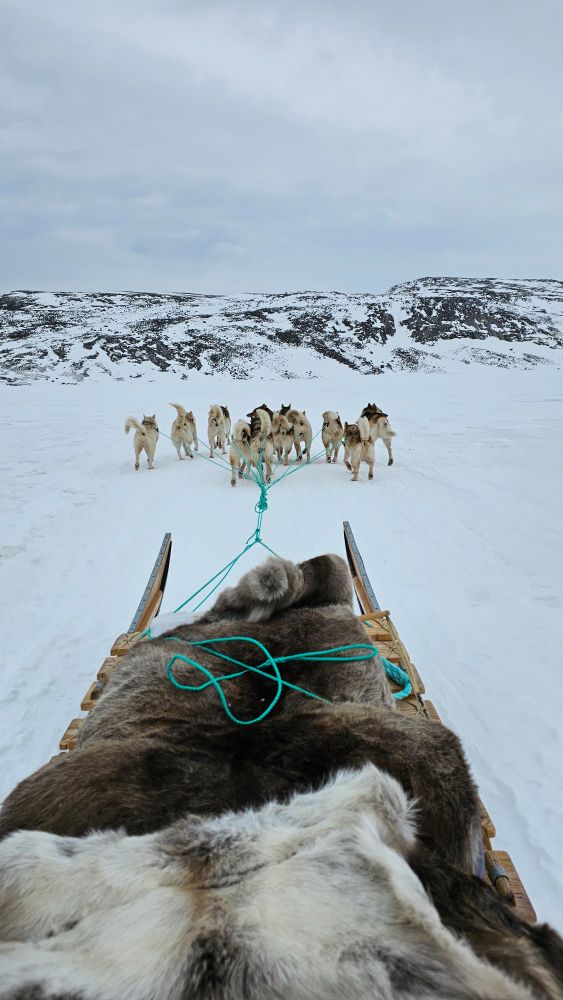 Dog sledding