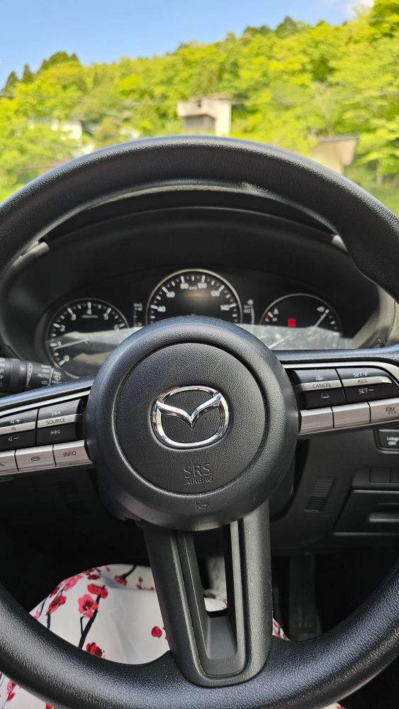 Steering wheel