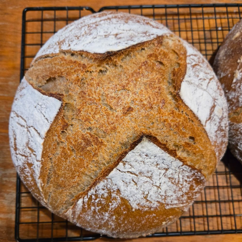 Bread boule with a cross/start pattern from the rise. 