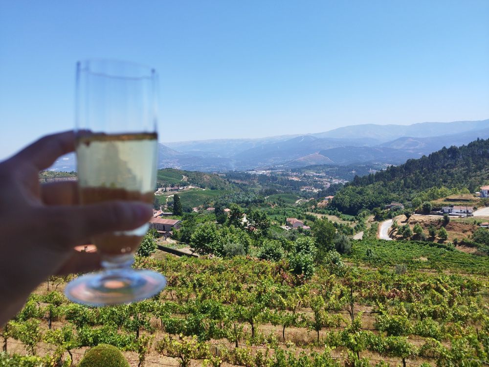 foto de uma taça de champanhe em frente à paisagem de ourilhe, na casa do meu primo. mais próximo se vê uma plantação de uvas. ao fundo: montanhas, algumas casas e uma estrada 