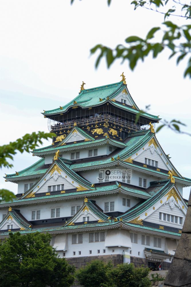 osaka castle during an overcast day with tree leaves dotting the edges