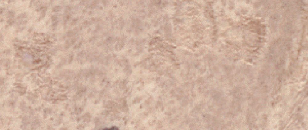 An image of a piece of parchment.