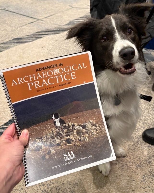 'Kalli', a dog, looks intently at the camera while a person holds a copy of "Advances in Archaeological Practice" published by the Society for American Archaeology.
