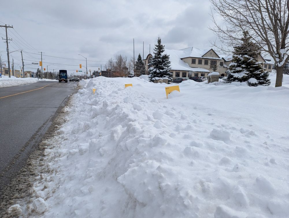 Photo of several "vote here" signs buried in a snowbank.