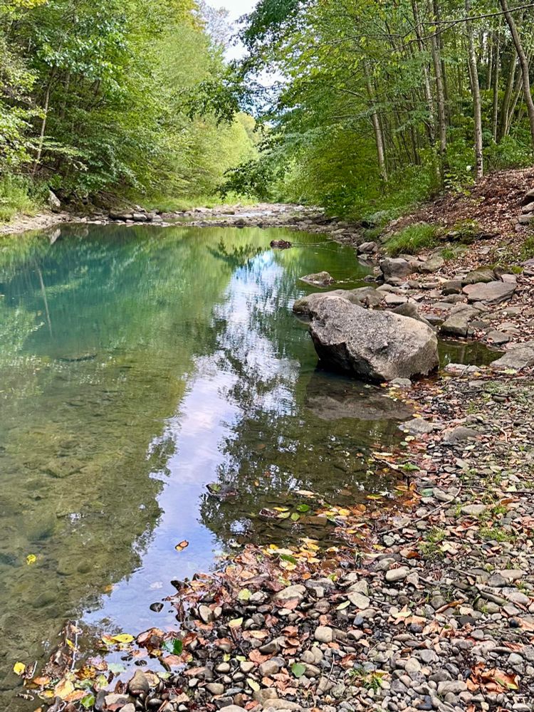 A blue green creek with lots of green trees in the background and a rocky shore 
