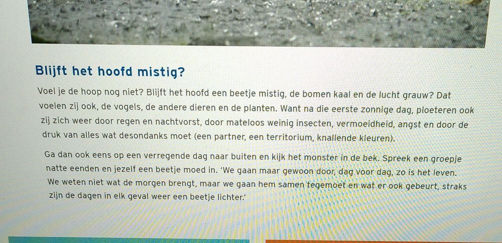 Screenshot van de website van de Vogelbescherming met de tekst: 'Voel je de hoop nog niet? Blijft het hoofd een beetje mistig, de bomen kaal en de lucht grauw? Dat voelen zij ook, de vogels, de andere dieren en de planten. (...) Ga dan ook eens op een verregende dag naar buiten en kijk het monster in de bek. Spreek een groepje natte eenden en jezelf een beetje moed in. 'We gaan gewoon door, dag voor dag, zo is het leven. We weten niet wat de morgen brengt, maar we gaan hem samen tegemoet en wat er ook gebeurt: straks zijn de dagen in elk geval weer een beetje lichter.'