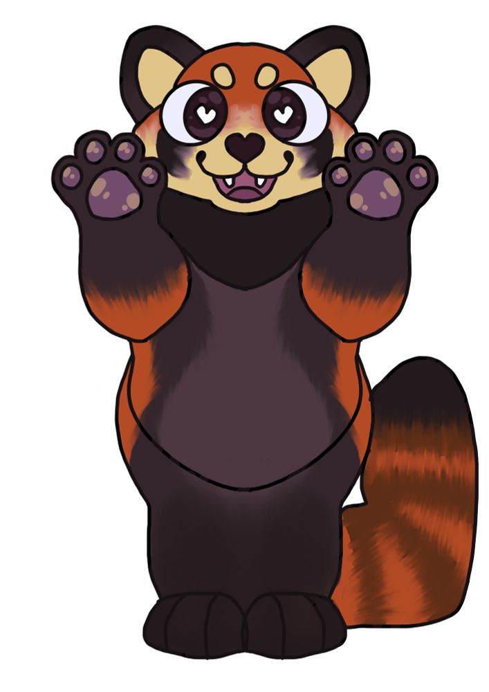 red panda standing up on two legs with its paws up
