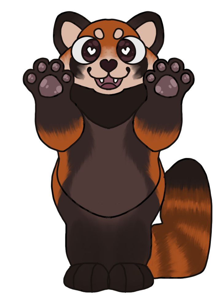 red panda standing up on two legs with its paws up slight color change from the previous
