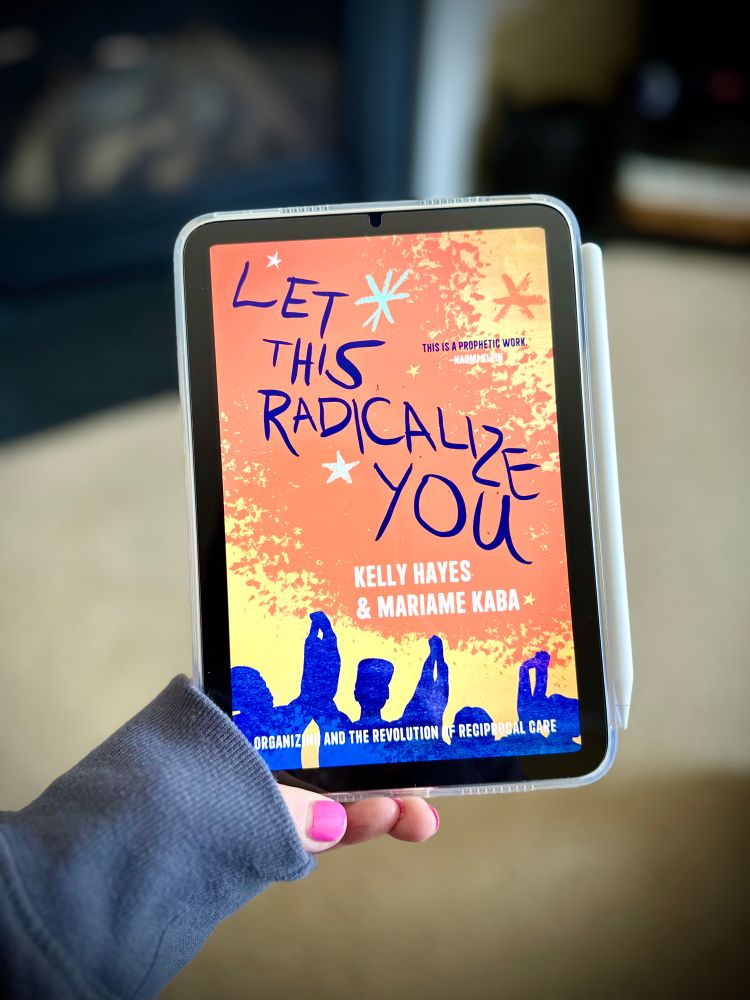 Let This Radicalize You eBook cover on iPad mini