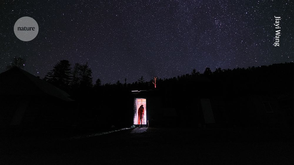 A figure wearing red overalls illuminated in a doorway that appears to open from a black area of trees and buildings, silhouetted by a starry night sky
