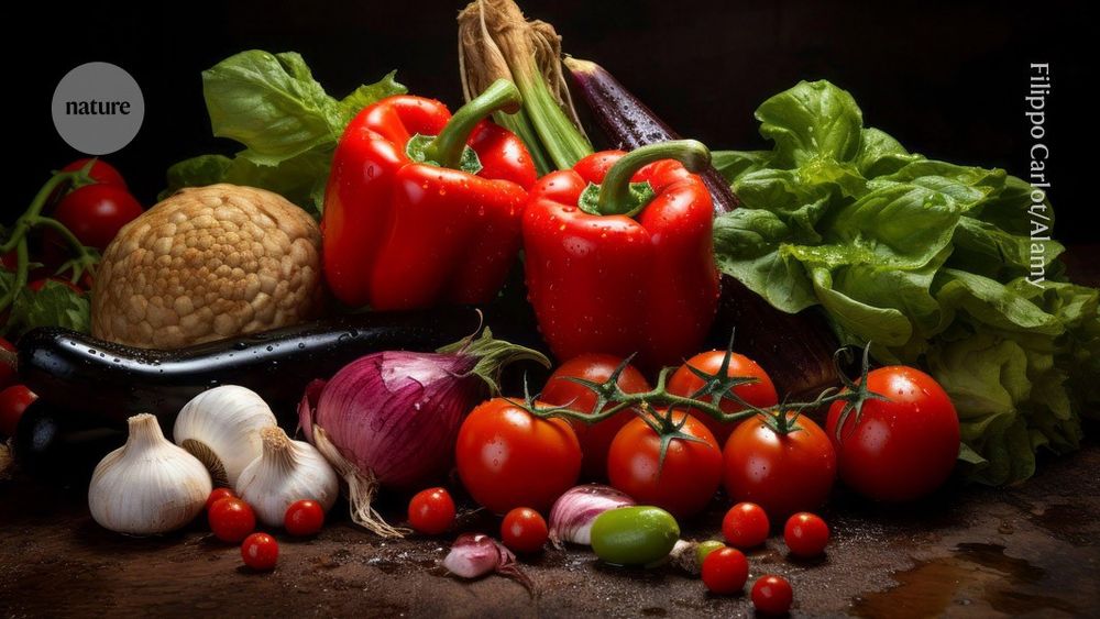 Trial compared effects of diets with differing levels of food processing.