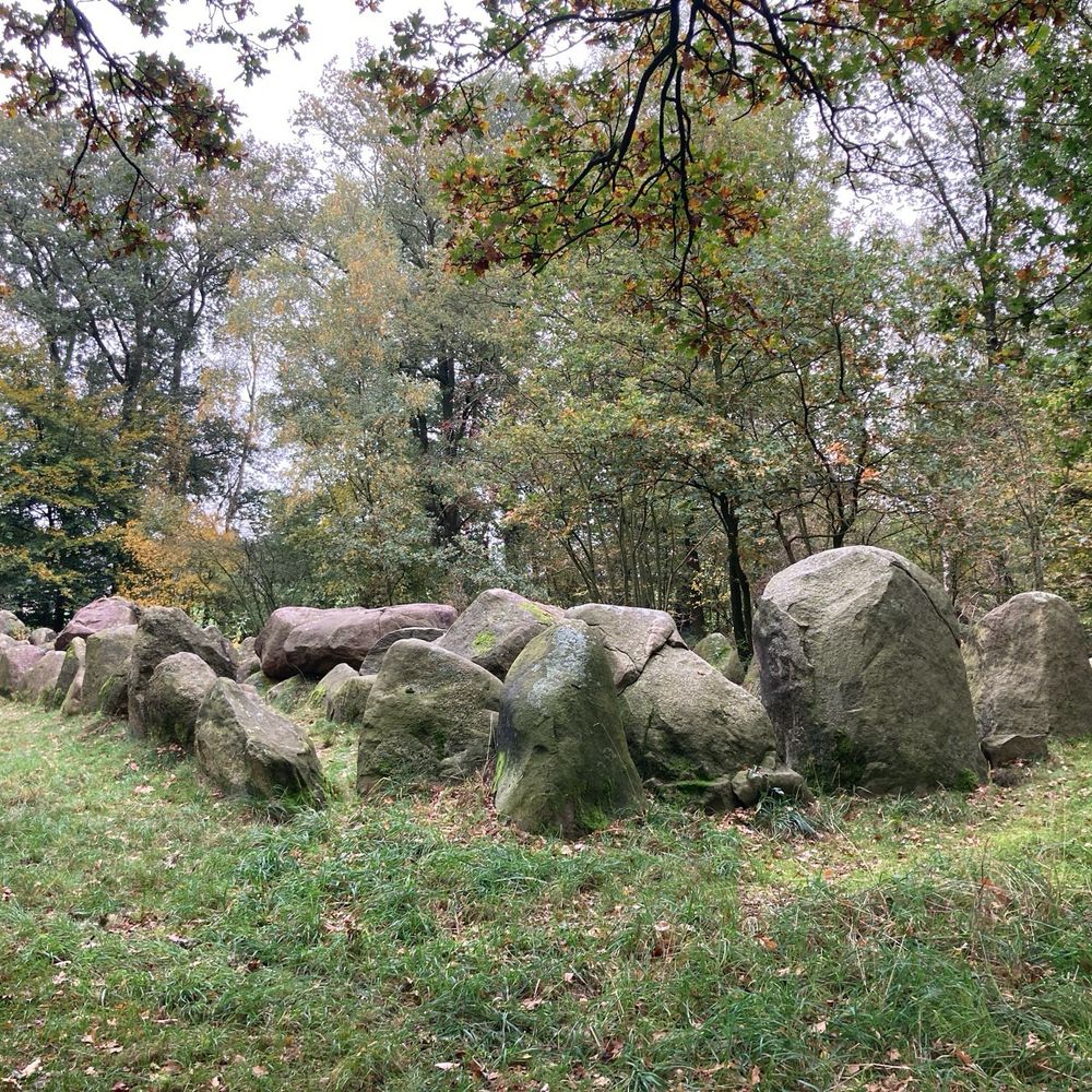 auf einer Waldlichtung zahlreiche freistehende Trägersteine eines Grosssteingrabes, in der Mitte der Deckstein der Grabkammer.