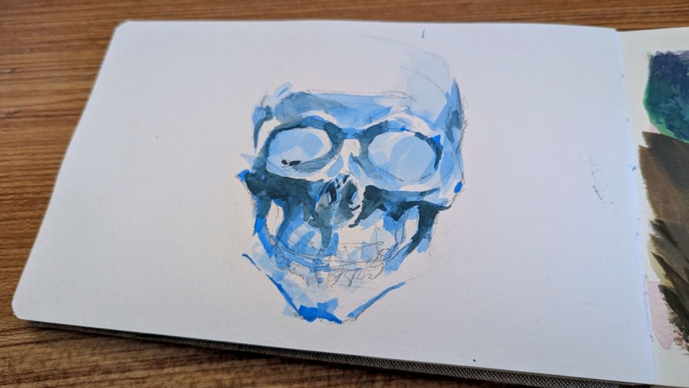 a skull painted with blue shadows