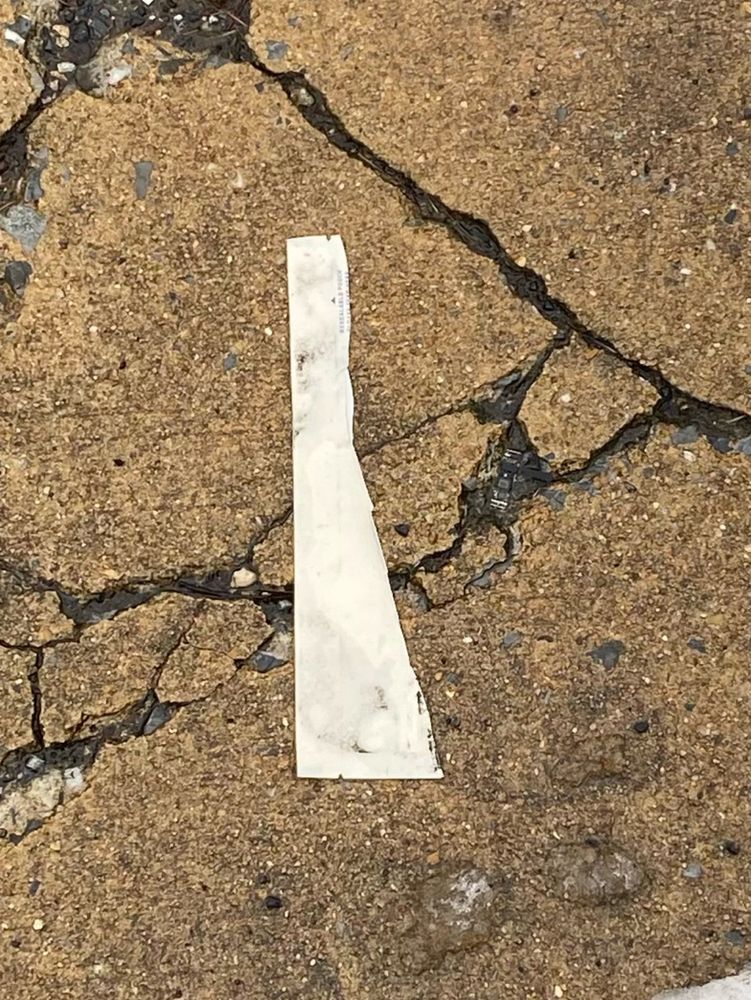 A piece of garbage in the shape of the state of Delaware 