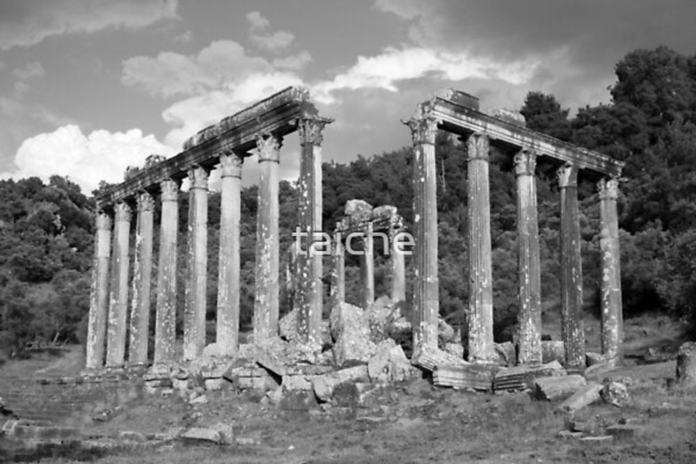 Euromos Ruins Black and White Photography by taiche | Redbubble