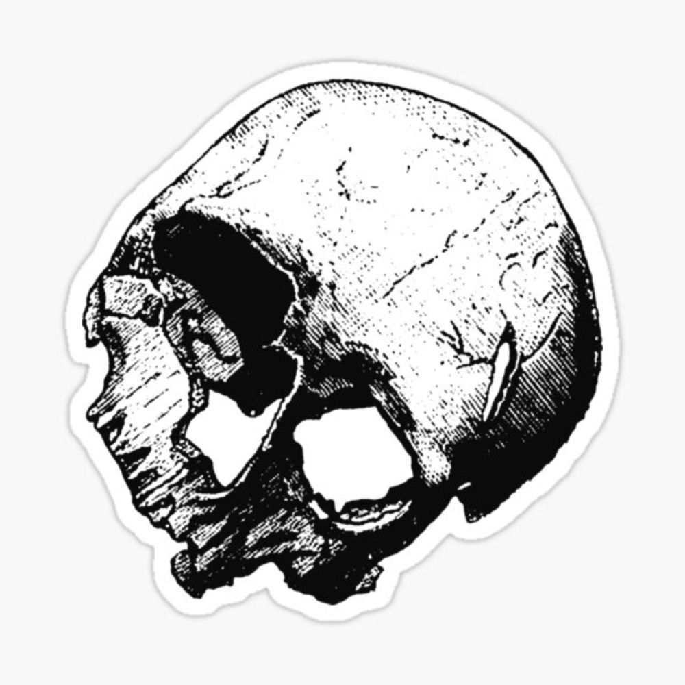 "Broken Human Cranium Vintage Illustration Vectorized" Sticker for Sale by taiche