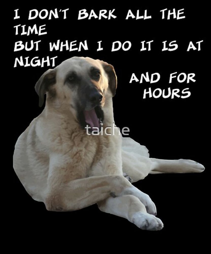 I Don't Bark All the Time Kangal With Cute Expression by taiche | Redbubble