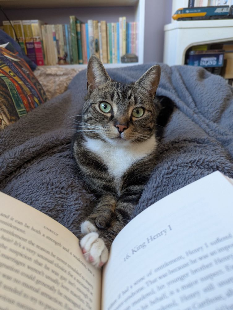 Picture of a tabby and white cat, lying on a grey blanket and looking at the camera. His white tipped paws are resting in the crease of an open book 