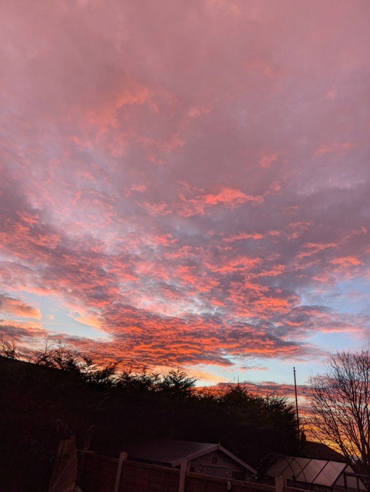 Beautiful sky tonight. The sun is setting and the clouds have turned a range of colours from mauve to orange against a pale blue sky