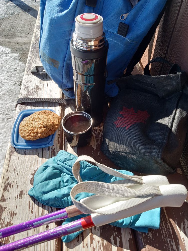 Photo taken on a break from a ski. On a bench there is a blue backpack, a thermos with tea and a steaming cup of tea. Two cookies, gloves and ski poles.