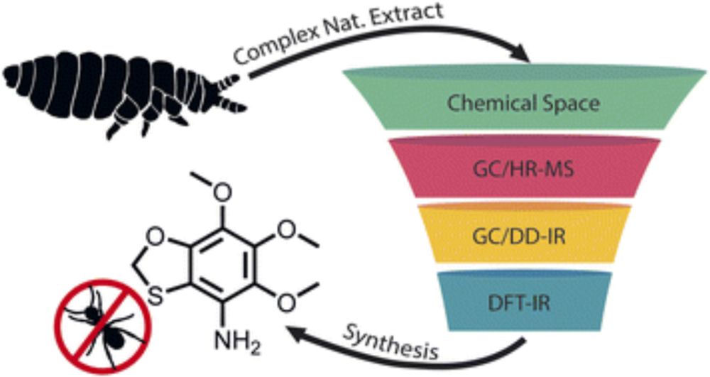 Identification of unique highly hetero-substituted benzenes as chemical weapons of springtails by a combination of trace analytical methods with DFT calculations and synthesis