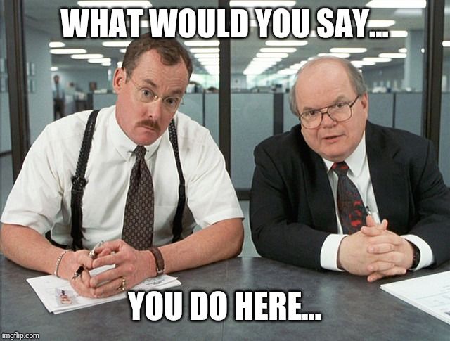 a meme made from the film Office Space with two characters collectively known as "the Bob's" who are external efficiency consultants asking an employee they are thinking about downsizing the question, "What would you say... you do here?"