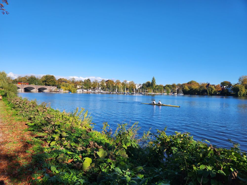 Two people rowing in a lake on a sunny day, with a bridge and a row of yachts moored in the background